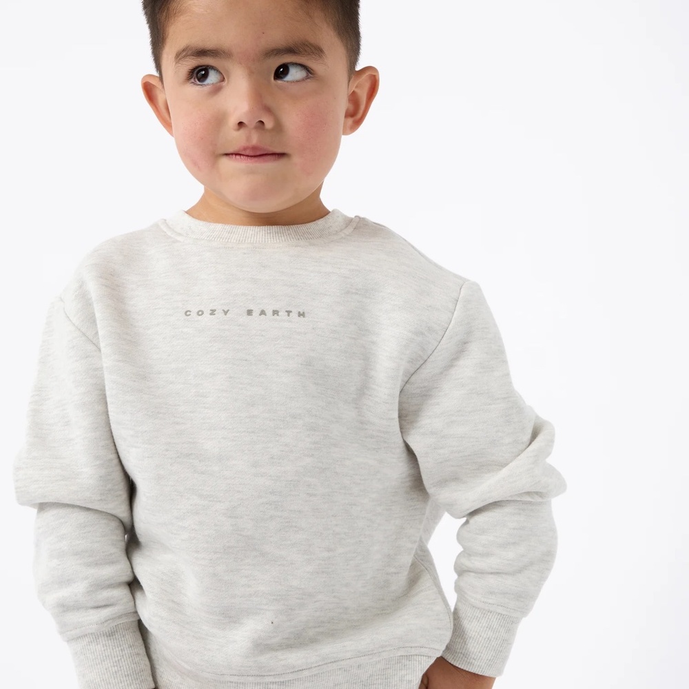 NWT COZY EARTH brand CityScape CrewNeck Heather Grey Soft Sweatshirts, Unisex